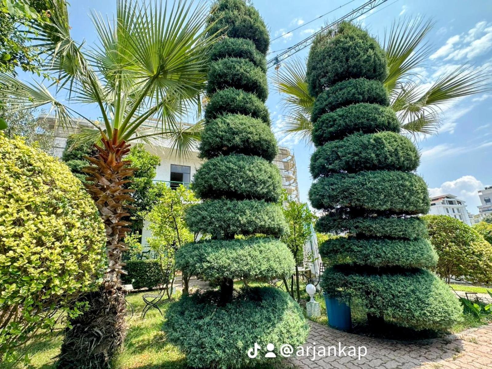 A-Vila Golem  Εξωτερικό φωτογραφία