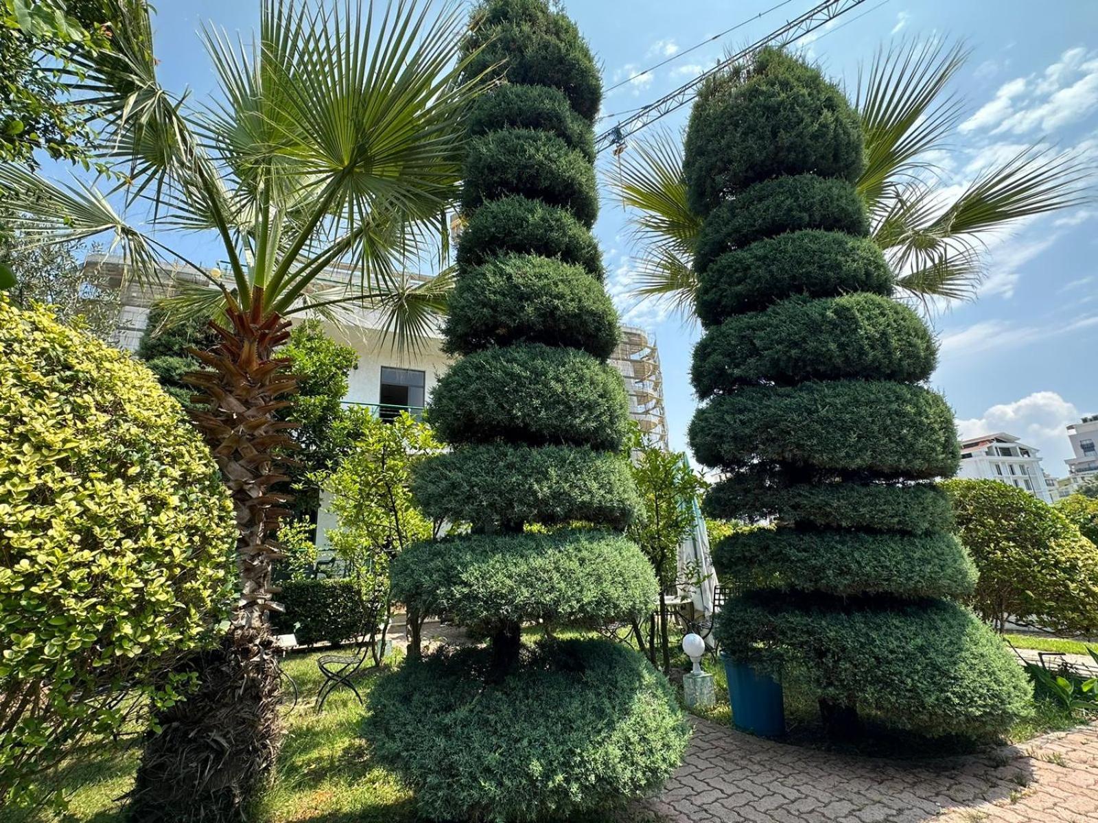 A-Vila Golem  Εξωτερικό φωτογραφία
