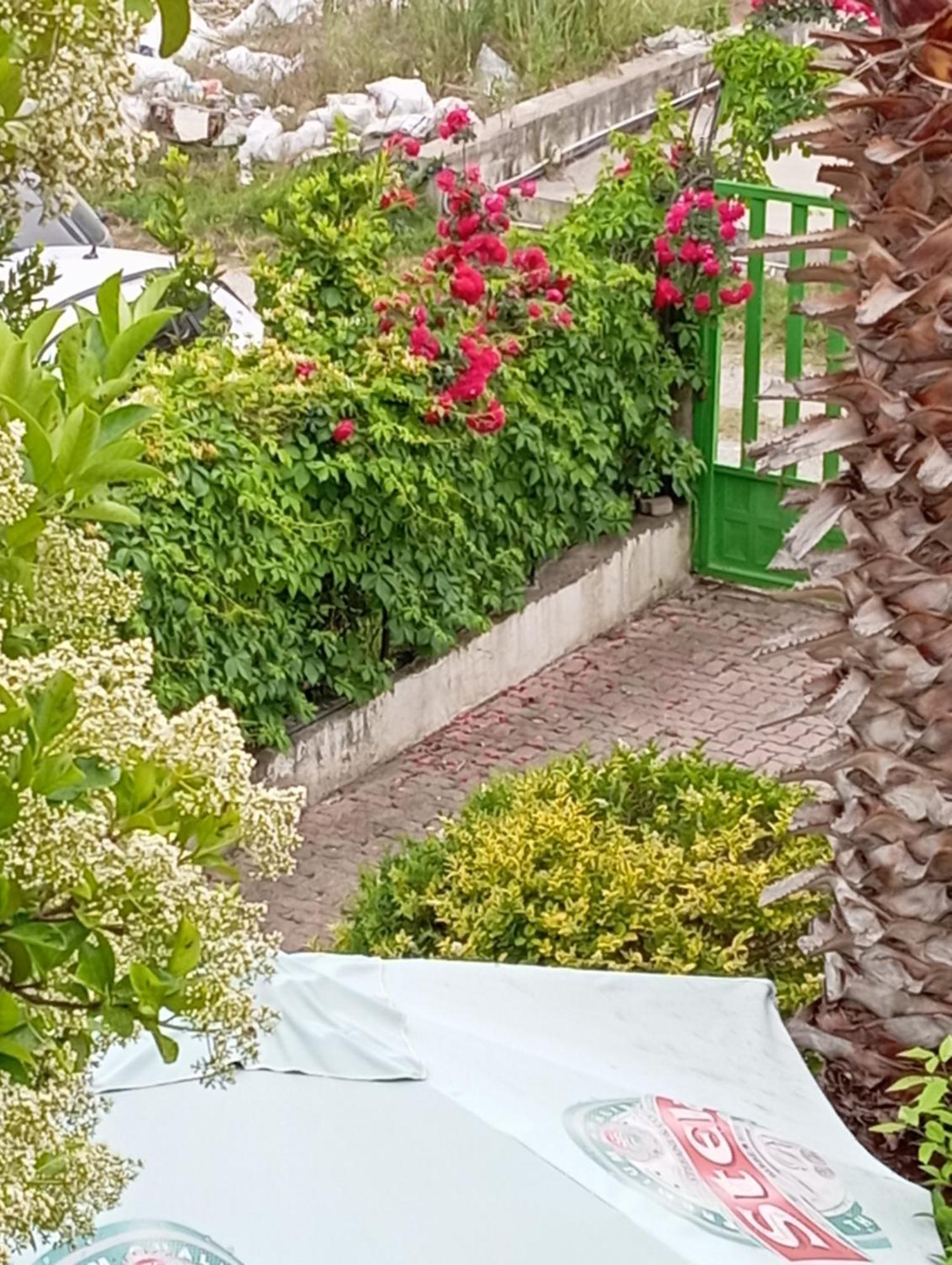 A-Vila Golem  Εξωτερικό φωτογραφία